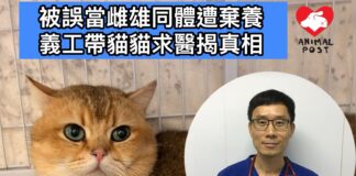 張毅敏醫生:真雌雄同體罕見 多屬「假雌雄同體」 矯形手術可回復正常