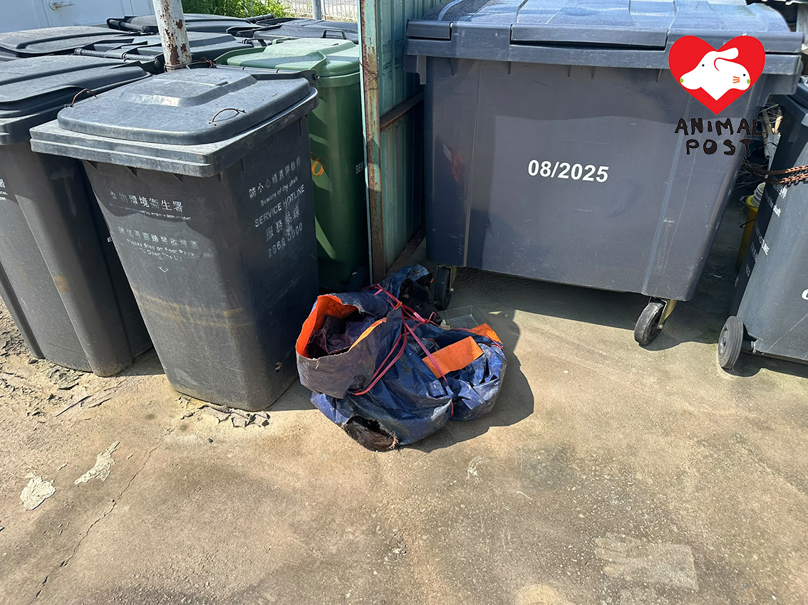 亦園村有活著的狗狗慘被綁住當垃圾丟棄。
