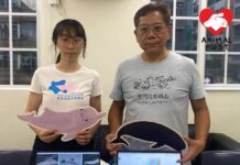 政府為推動遊艇經濟將大澳列為錨泊區 動保團體憂影響海豚促取消該選址
