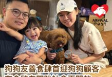 狗狗友善食肆首迎狗狗顧客 有食肆老闆冀社會對狗狗更開放