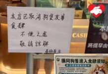 新政策實施僅三日 有部分食肆突取消准狗進入安排