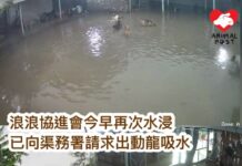浪浪協進會龍鼓灘場地再次水浸 已請求渠務署動用龍吸水