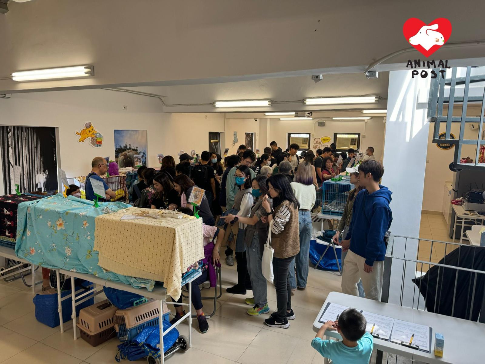 Antony定期與不同機構合作舉辦領養日,領養日反應熱烈,有很多人參加。
