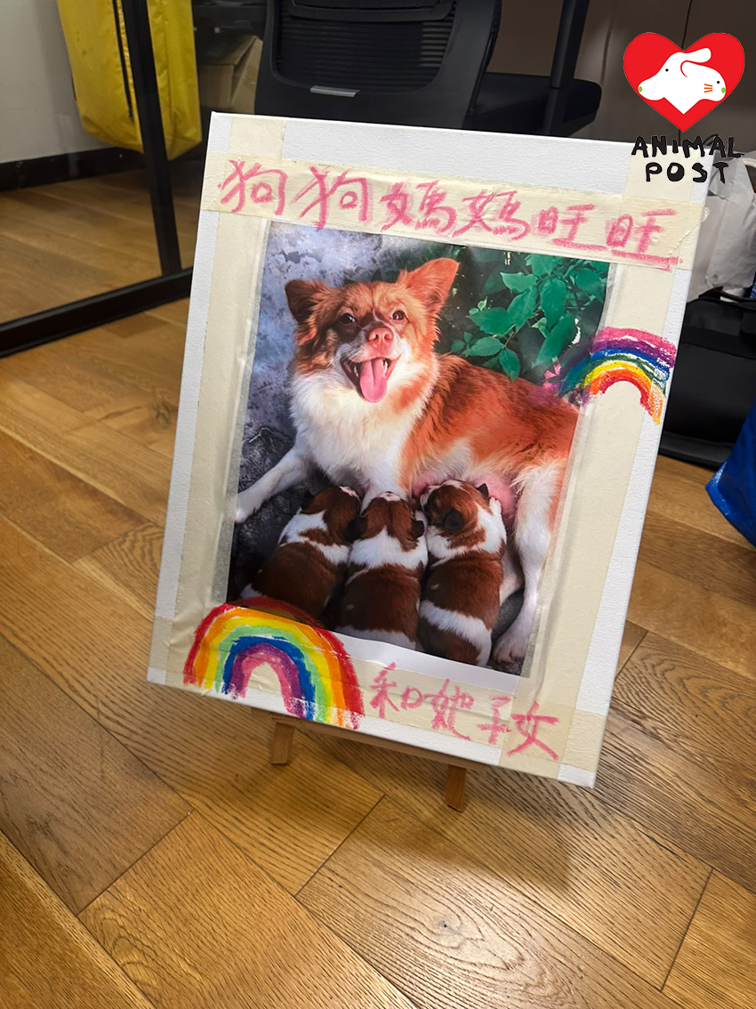 有熱心市民製作悼念旺旺一家的紙牌。