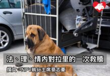 法、理、情內對拉里的一次救贖(文:NPV執行主席麥志豪)