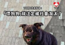 【YOHO悲劇背後:「壞狗狗」就注定被社會淘汰?】(文:Roni Wong)