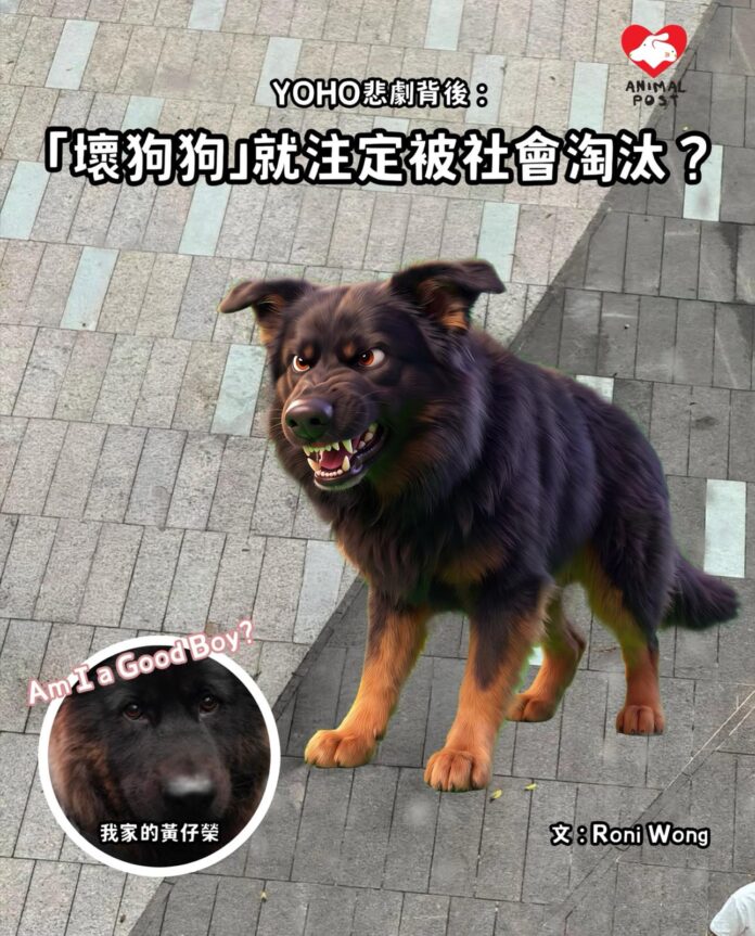 058a0ac8-07c3-4aa1-a7ad-2145ea6b9386