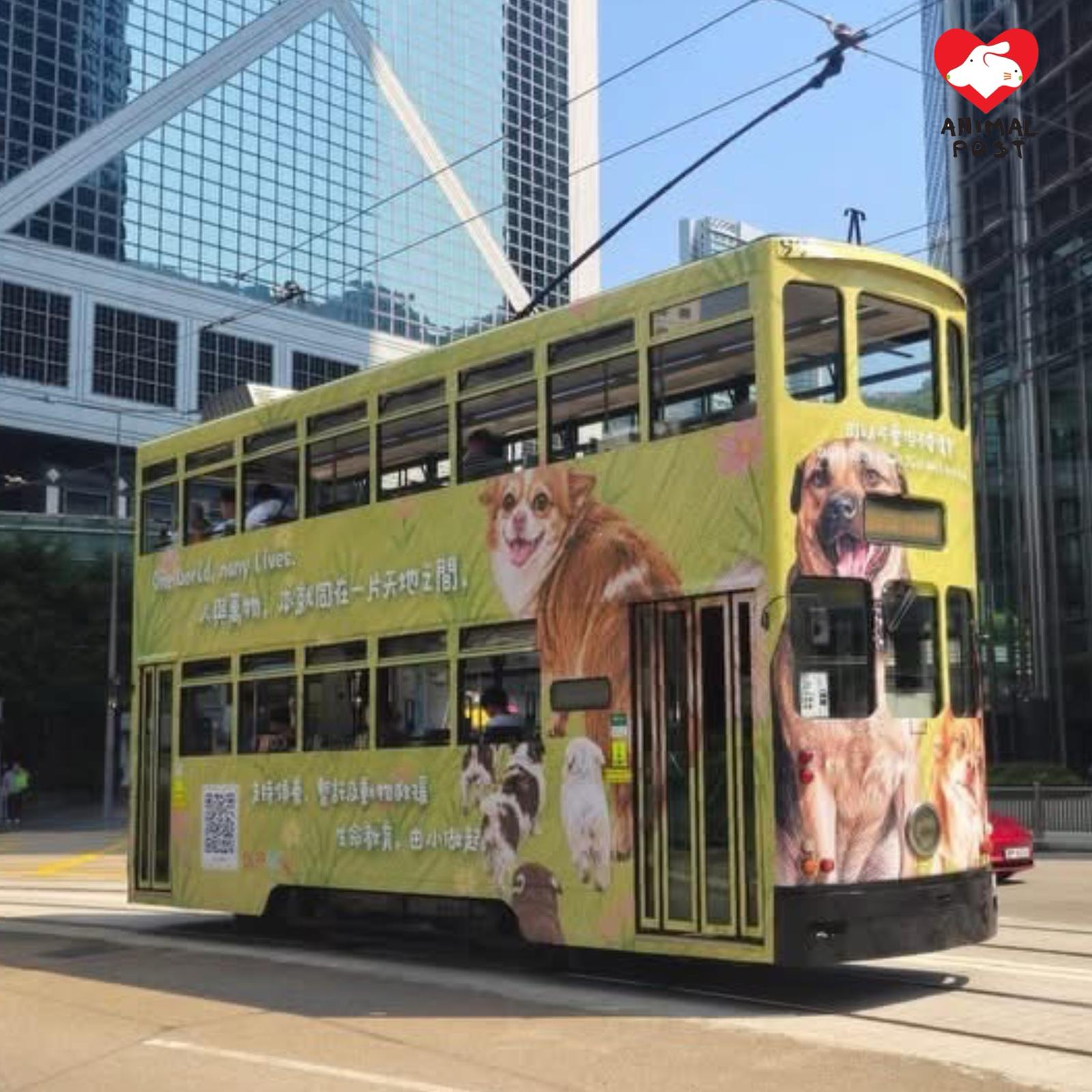 Suppaw在電車上刊登廣告,為旺旺一家發聲。