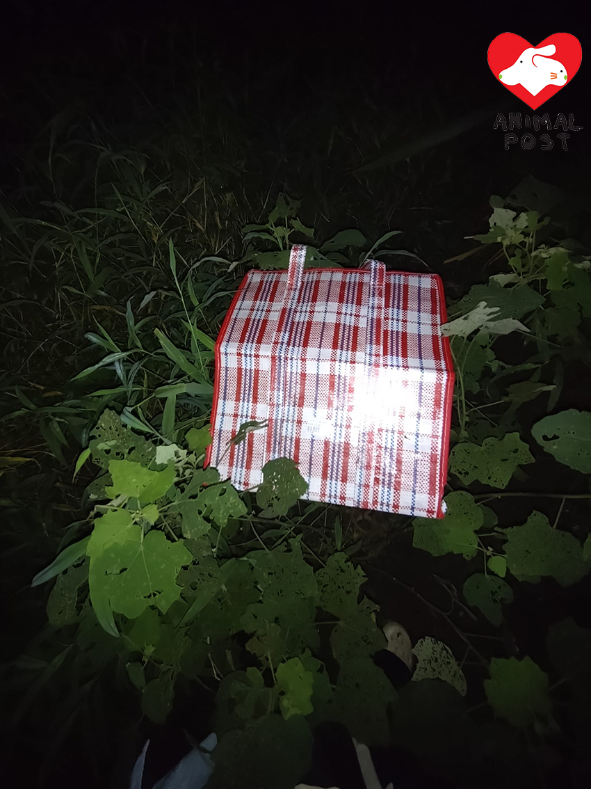 附近有一個紅白藍袋,懷疑是棄兔用的工具。