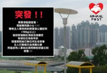 將軍澳寵物公園有狗狗疑被毒殺 回家後抽筋腹瀉送院已無生命跡象