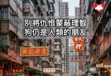 別將仇恨蒙蔽理智