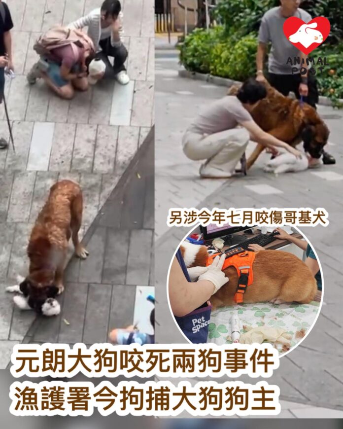 7d42eb5d-8bfb-4c20-ab13-c1954d864e37