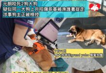 元朗咬死2狗大狗 疑似為上月咬傷哥基狗狗 據知涉事狗主正被檢控