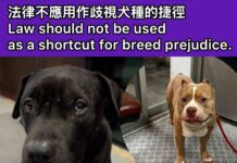 法律不應用作歧視犬種的捷徑 (文:大律師/HKALPO創辦人Kim J McCoy (麥劍祺))
