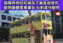 不要遺忘慘死的狗媽媽旺旺一家 動保組織繼續購電車廣告呼籲停止傷害動物