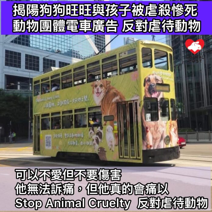 c166cc0a-db1b-4cfb-adf5-956f0b83d510