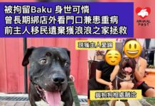 被拘留Baku身世可憐 曾長期綁店外看門口兼患重病 前主人移民遺棄獲浪浪之家拯救