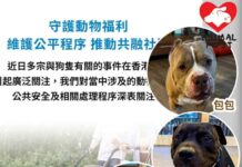 愛協關注漁護署定性格鬥狗隻事件 憂社會動物友善及同理心出現倒退