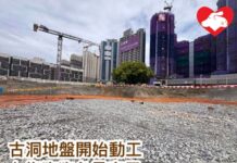 古洞地盤開始動工 七隻狗狗急尋安置