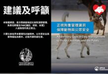 愛協及動物福利關注聯盟分別提建議 均倡推行狗隻絕育計劃