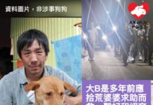 元朗女子離世悲劇 十三歲老狗大B被捕捉 晶片登記人毛守Kent或遭控兩罪