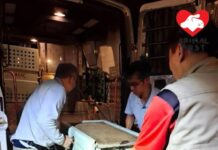 謝展寰指近日捕捉五隻狗當中三隻有晶片 將加重棄養罰則及檢視餵狗問題