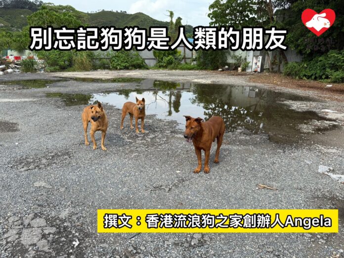 f7cdb3c1-9659-499a-a94b-22a5adee4d04