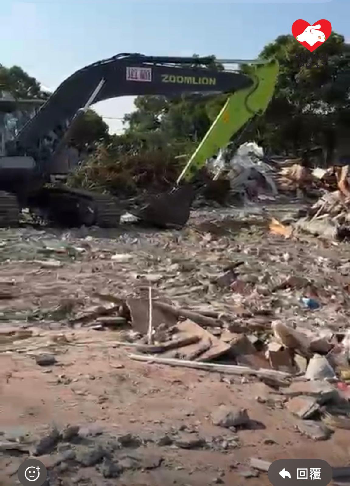 古洞清拆重建,卻有很多貓狗被遺留下來。