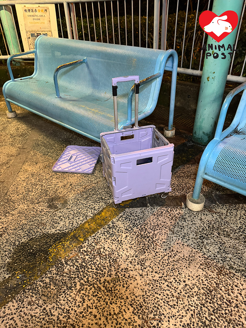 青衣長亨邨有兩貓疑被人連買餸車遺棄。