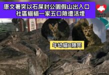 康文署突派人以石屎封公園假山出入口 一家五口貓貓險遭活埋
