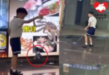 屯門有疑似小學生以繩吊起雀鳥拖行玩弄 警列殘酷對待動物案件