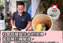社會發展與生命的抉擇:當發展巨輪駛進,居民、動物與義工該何去何從?(文:「動物歸途」與「龜途」 創辦人 陳仲邦)