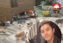 八鄉狗場負責人黃煒然被控殘酷對待動物罪 被指惡待一隻狗致不必要痛苦