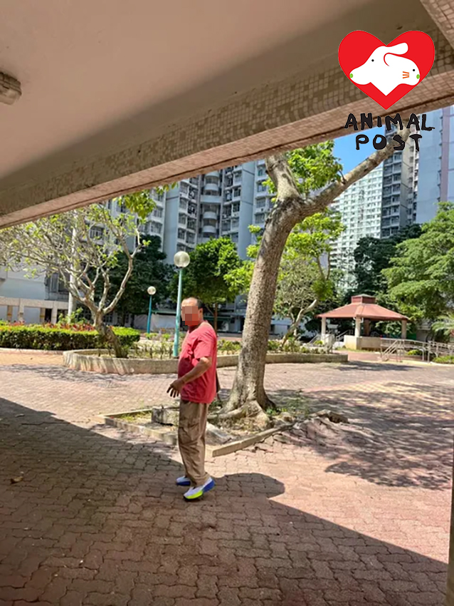 疑兇被人發現後即逃跑。