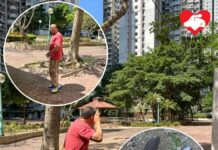 小西灣佳翠苑有男子疑用橡筋射殺斑鳩 被人發現後掩臉逃跑