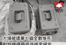 大埔被遺棄七貓全數慘死 動物機構籲提供線索緝兇