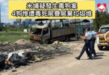 米埔疑發生毒狗案 四狗慘遭毒死屍疊屍棄垃圾堆