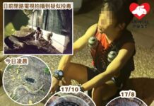 石硤尾男子疑毒貓人贓並獲 向義工聲稱討厭貓弄髒地方