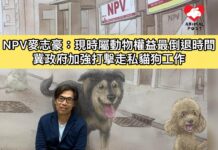 NPV麥志豪:現時屬動物權益最倒退時間 冀政府加強打擊走私貓狗工作