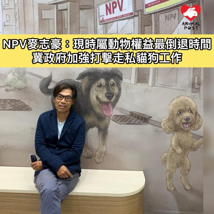 NPV麥志豪感到現時動保步伐大倒退。