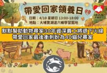 默默幫助動物尋家30年資深義工將退下火線 帶愛回家最後衝刺盼為40貓兒尋家